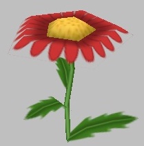 Freshasa Daisy.jpg