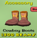 Cowboy Boots.png