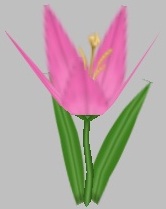 Livered Lily.jpg