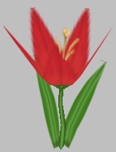 Chili Lily.jpg