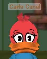 Carla Canal.jpg