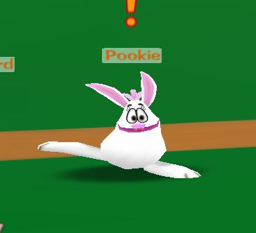 Pookie pookie.jpg