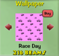 Race Day11.png