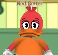 Ned Setter.jpg