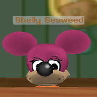 Shelly Seaweed.png