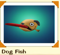 Dog fish.png