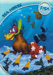 Sea Horse Series 3 Front.png