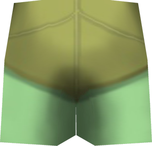 Turtle Shorts L Front.png