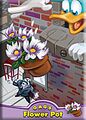 Flower Pot Trading card