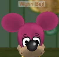 Wynn Bag.jpg