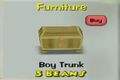 A trunk, the item needed before purchasing any accessory (Boy version)