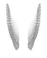 Angel Wings from a front view
