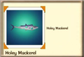 Holey Mackerel.png