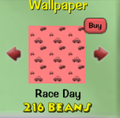 Race Day13.png