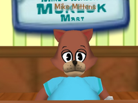 Mike Mittens.png