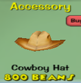Cowboy Hat.png