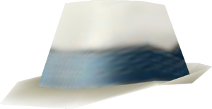 Fedora Side View 1.png