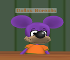 Dallas Borealis