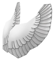 Angel Wings from a side view