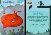 Devil Ray