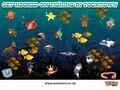 A desktop wallpaper image from a 2005 Toontown UK CD-ROM showing various species of Fish.