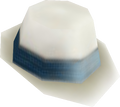 Fedora Top View 1.png