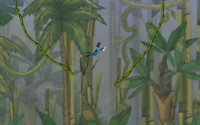 Jungle Vines.png