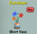 Short Vase2.png